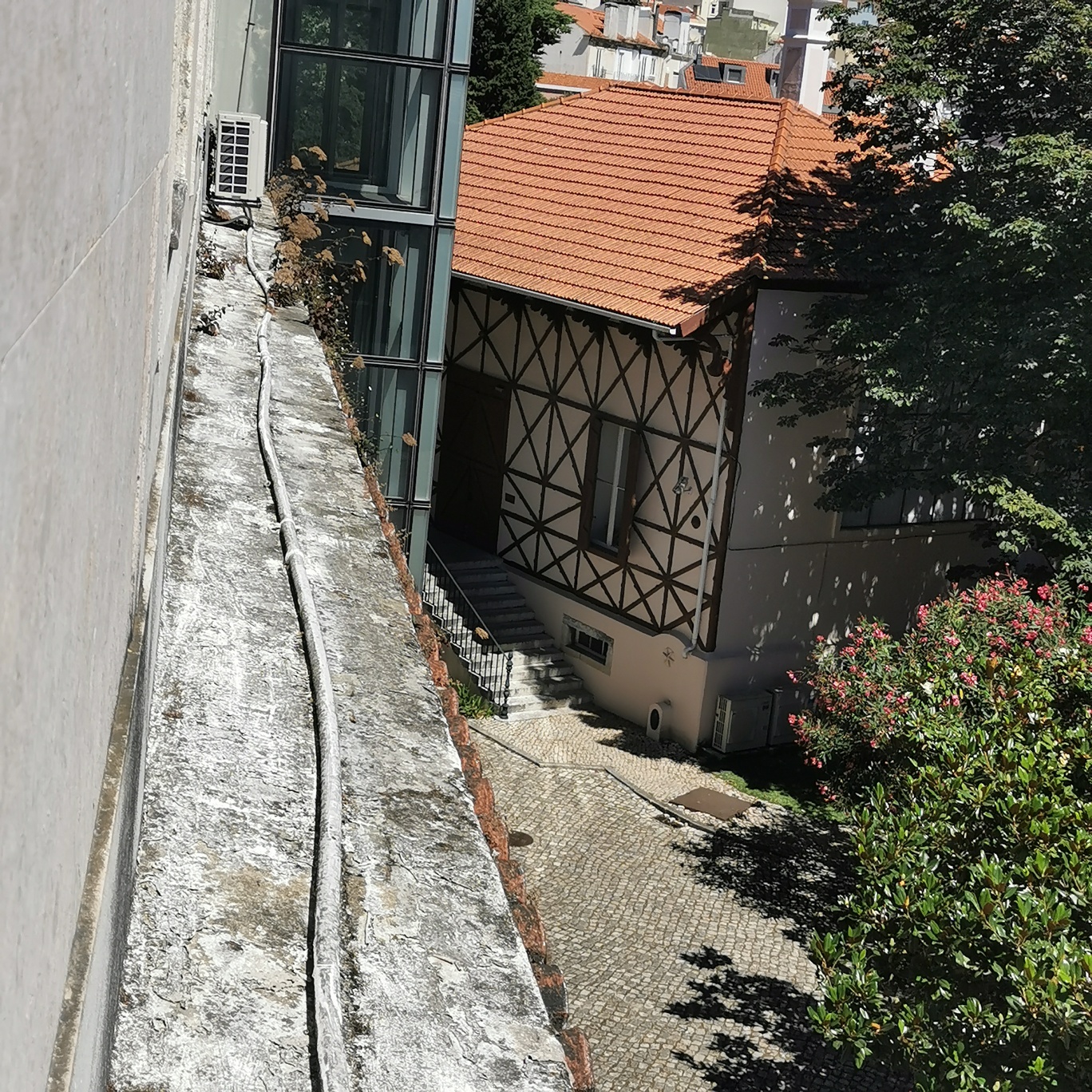 IMG_20240724_114400_resized_20250113_102858561