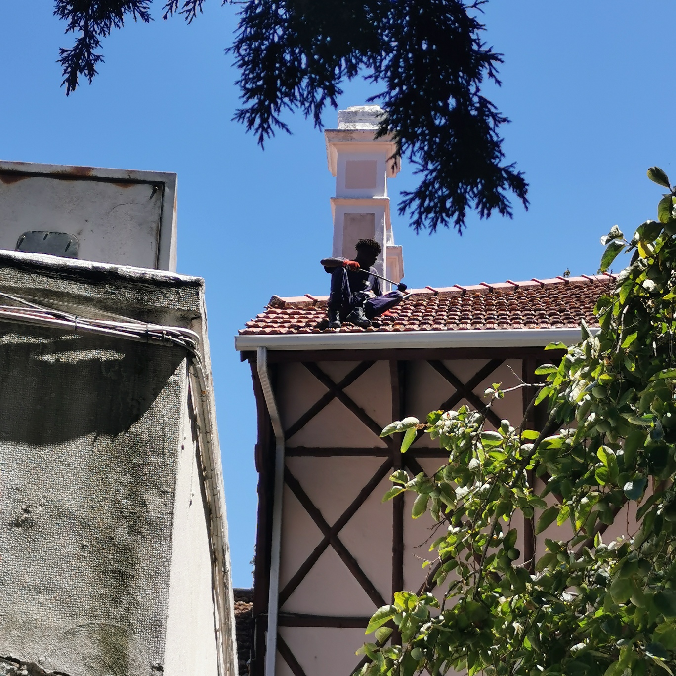 IMG_20240724_142547_resized_20250113_102858127