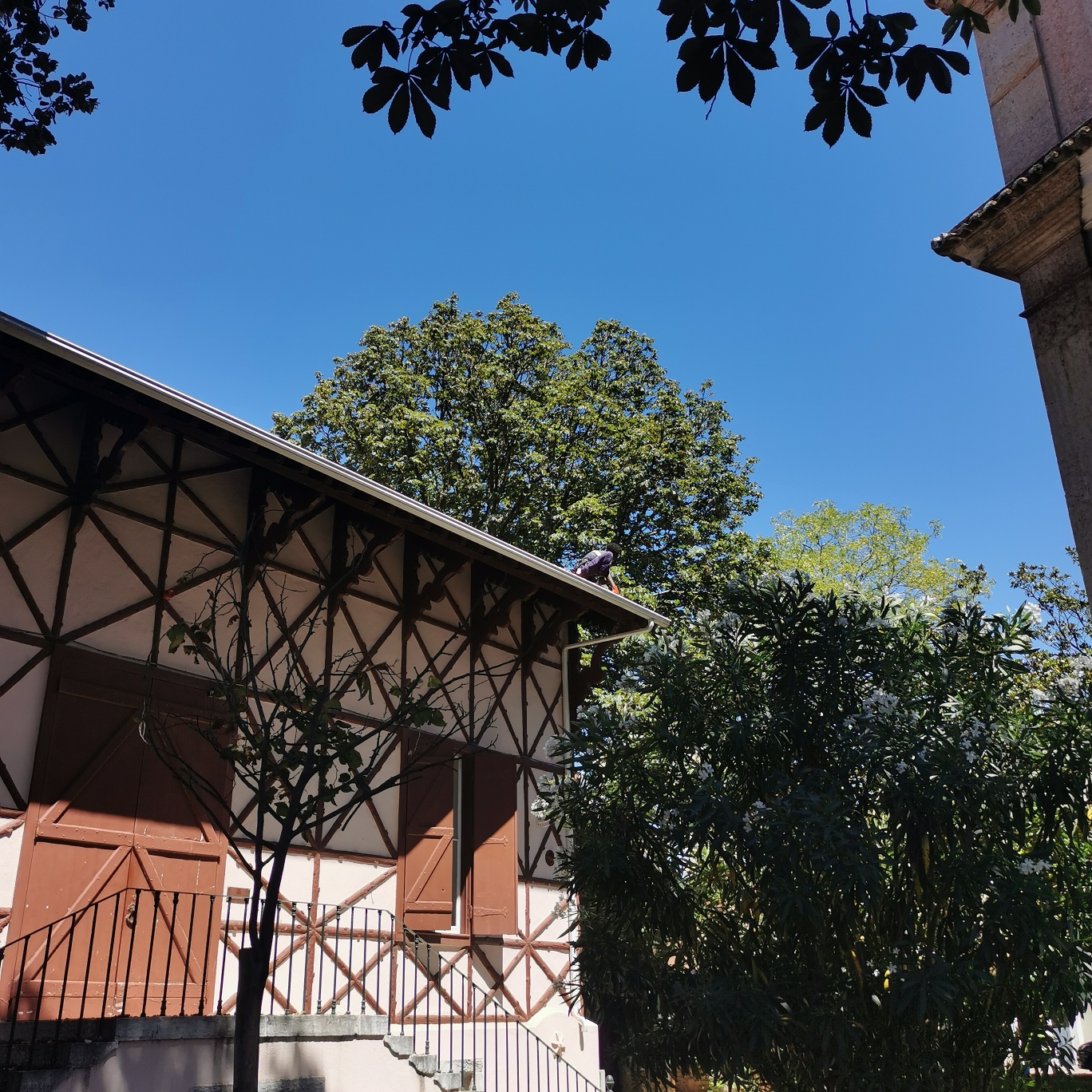 IMG_20240724_151208_resized_20250113_102857298