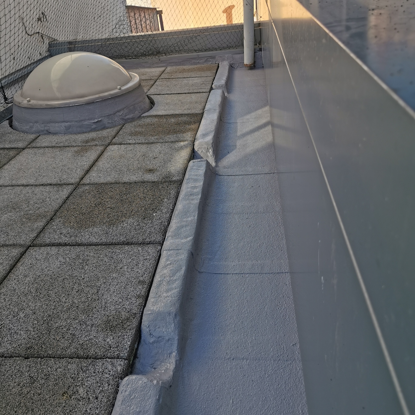 IMG_20241127_114456_resized_20241127_081257181